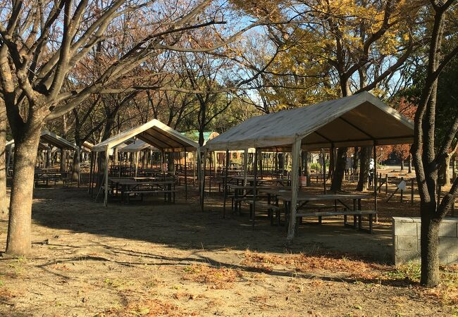 長居公園 クチコミ アクセス 営業時間 住吉 平野 フォートラベル