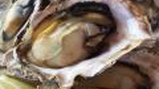 絶景の中で食べる海鮮三昧