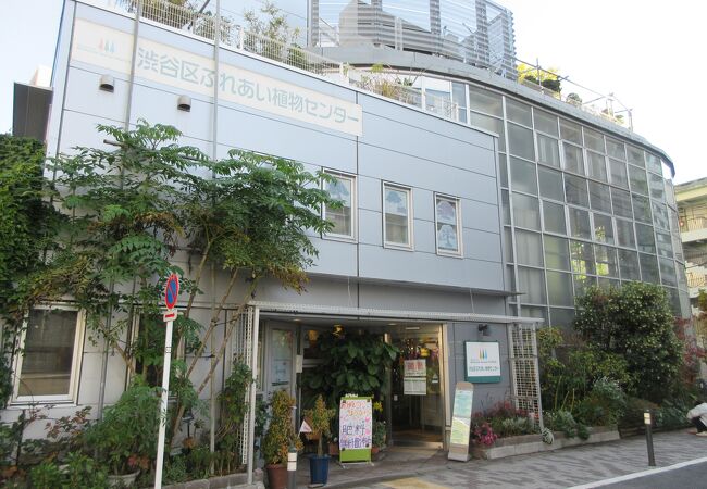 渋谷区ふれあい植物センター クチコミ アクセス 営業時間 恵比寿 代官山 フォートラベル