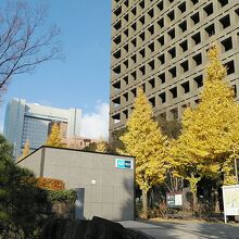 永田町駅からホテル真ん中