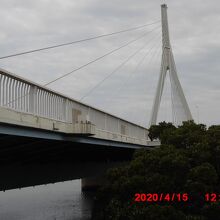 漫湖に架かる東側はつり橋状の橋