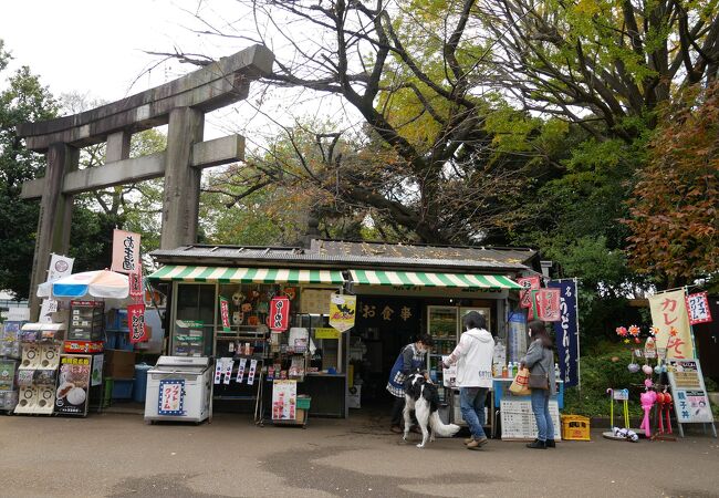 昔ながらの売店でラーメン、東照宮第一売店