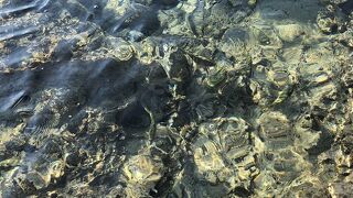 水槽みたいな海