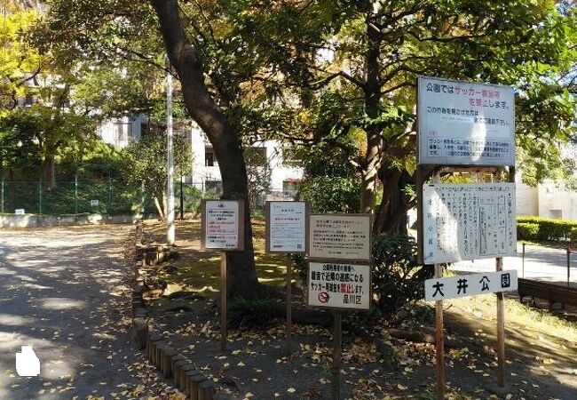 地形をいかした自然環境豊かな公園