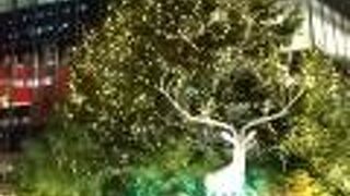 東京ガーデンテラス紀尾井町 （クリスマスイルミネーション）