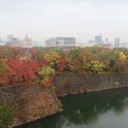 大阪城の紅葉の名所