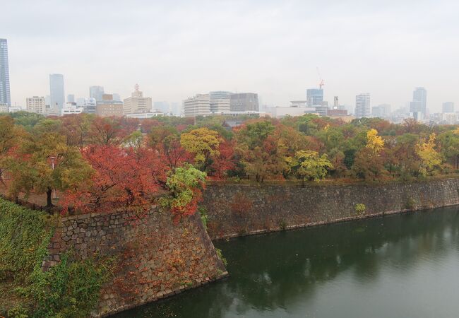 大阪城西の丸庭園 クチコミ アクセス 営業時間 大阪城 京橋 フォートラベル