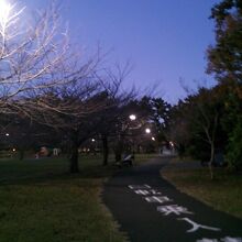 夕方でも園内の周回道路をウォーキングしてる方などがいました