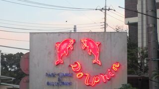 ドルフィンは「山手の静かなレストラン」