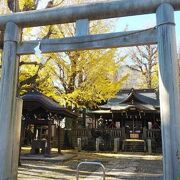 隅田川に隣接した長い歴史のある神社