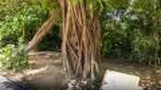 首里城公園の歴史です