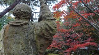 落ち葉も木々も真赤な紅葉