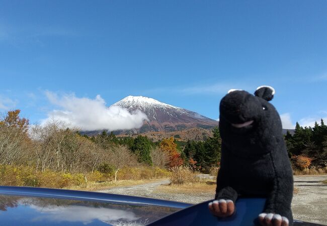 富士宮の紅葉 クチコミ人気ランキング フォートラベル 静岡県