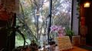 メニューが豊富で美味しいしオシャレ。窓からの風景に癒されます。