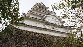 赤瓦が魅力的　茶室麟閣とのセット券を購入