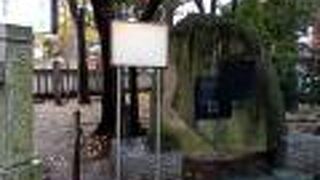 やっと見つけることが