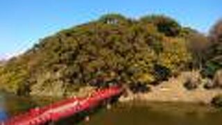 茶臼山に紅葉なし