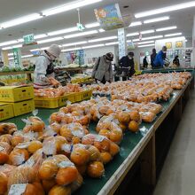 季節の柿でいっぱい！