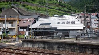 地元住民の方が清掃、植樹、駅事務室の改装、観光列車の出迎え、案内などをされている無人駅