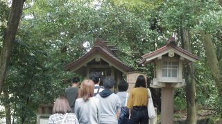 正面から近いです