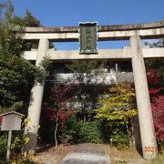 清和院御門を出るとすぐ左手に、梨木神社の立派な鳥居があったのですが。