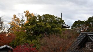 三重の塔が見事な宝積寺様