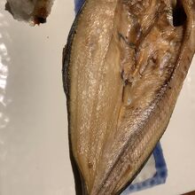 ほっけ　あたたかくなかった