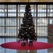 京都駅のクリスマスツリー&#127876;
