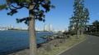 ビーチの雰囲気を演出する散歩道