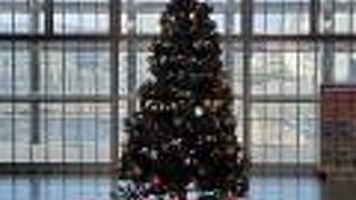 京都駅のクリスマスツリー&#127876;