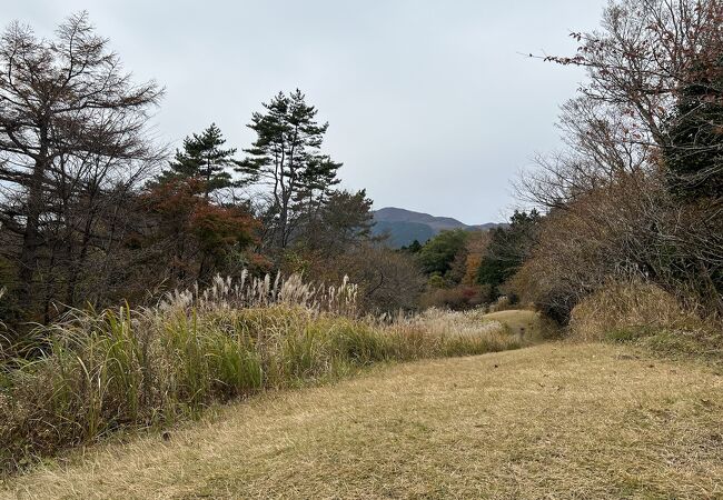 富士山信仰から、浅間山と呼ばれるようになった