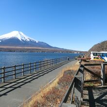 山中湖からの富士山