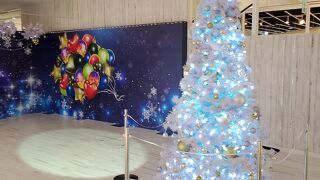 クリスマスツリー🎄