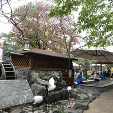 アガシ達に凝視され少し怖い雰囲気!