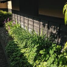 周辺は散策に最適