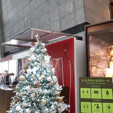 WESTの受付前のツリー