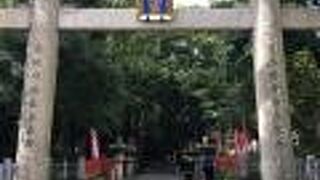 本殿まで遠い！