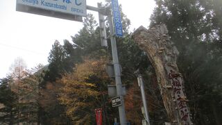 奥祖谷二重かずら橋