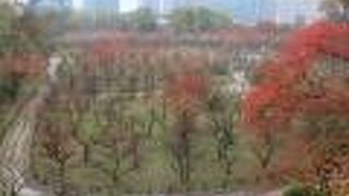 空きは全くもって観る意味なし