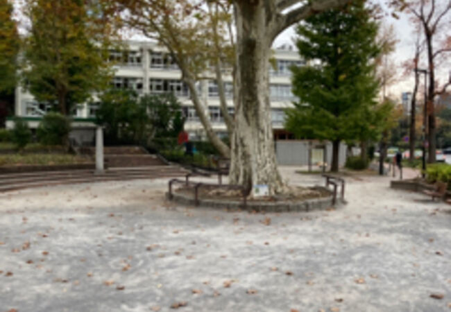 迎賓館近くの公園