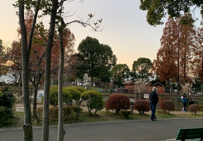 生物園のある公園