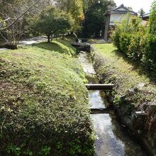 家の前の水路は良い感じです