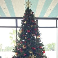 クリスマスツリー
