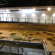 平城宮跡発掘調査の遺構をそのまま展示