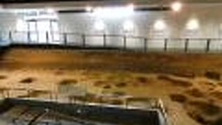 平城宮跡発掘調査の遺構をそのまま展示