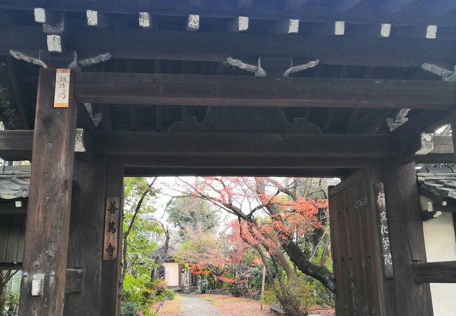 曹洞宗のお寺