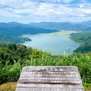 賤ケ岳の山頂から眺めるとなかなか立派な湖に見える!