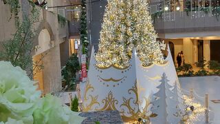 クリスマスツリーを見に行く ①