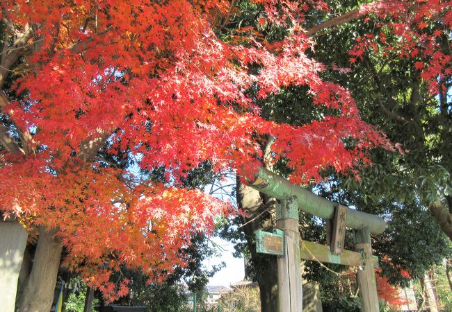 大間木水神社