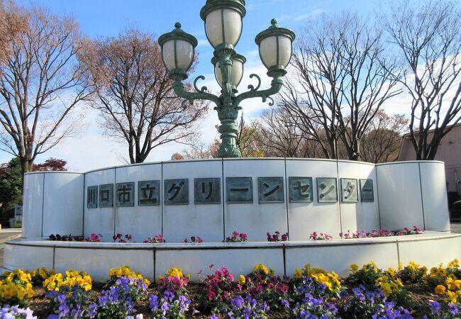 植木の街川口にふさわしい緑の公園